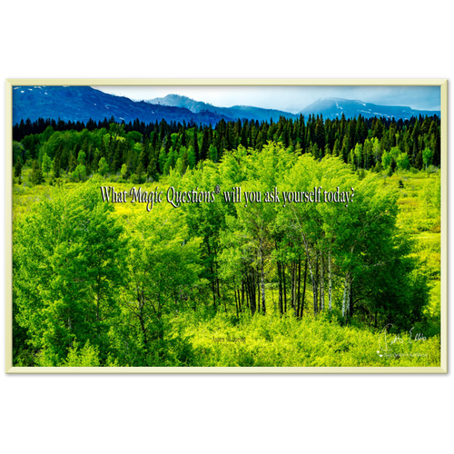 Aspen In Spring, a Magic Questions® Poster with Frame, by Keith Ellis