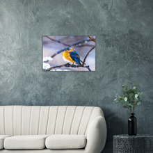 Load image into Gallery viewer, Eastern Bluebird in the Cold, a Photograph Printed on Metal, by Keith Ellis-Mockup View
